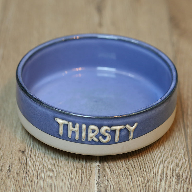 Making Old Pet Ceramic Bowls