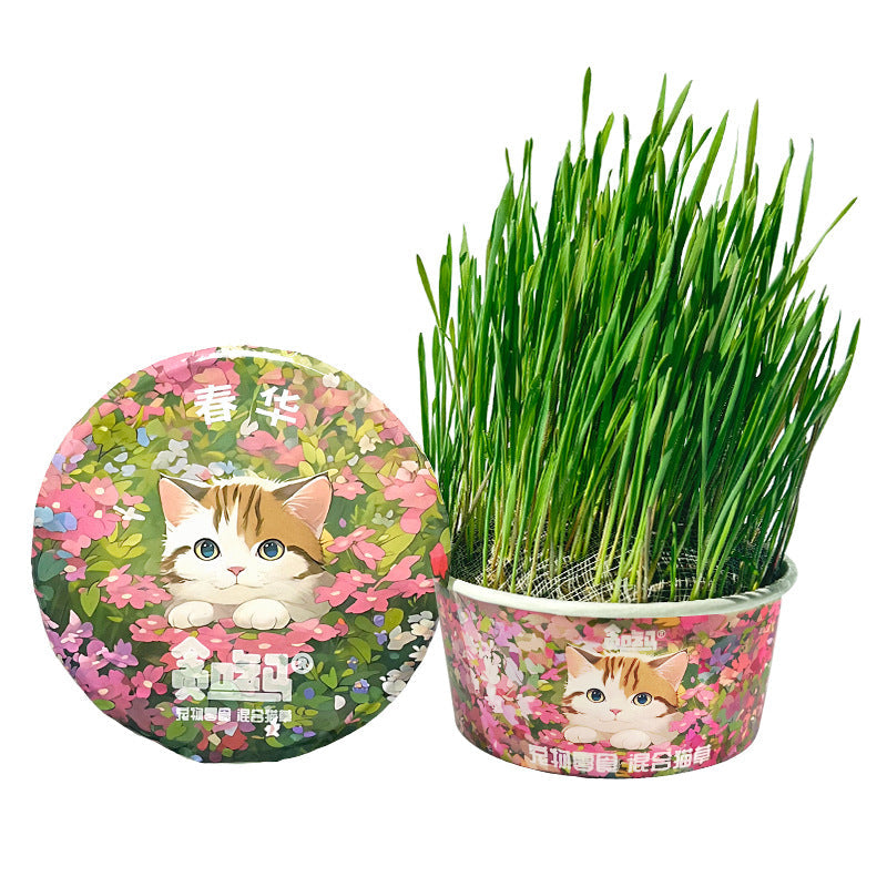 Soil-free Mixed Cat Grass Treats