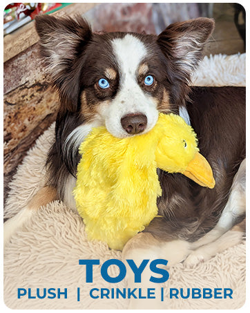 Best Pet Supplies Interactive Squeaky Dog Toy - Crinkle Duck, Yellow  Stuffing-Free Or Stuffed Body, Soft, Squeaks & Crinkles, No Mess, Perfect For Moderate Chewers, Toss And Fetch Play