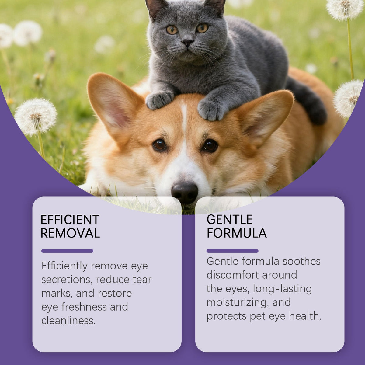 Pet Eye Drops Gently Care For Cats And Dogs' Eye Tear Stains, Tear Marks, And Eye Discharge