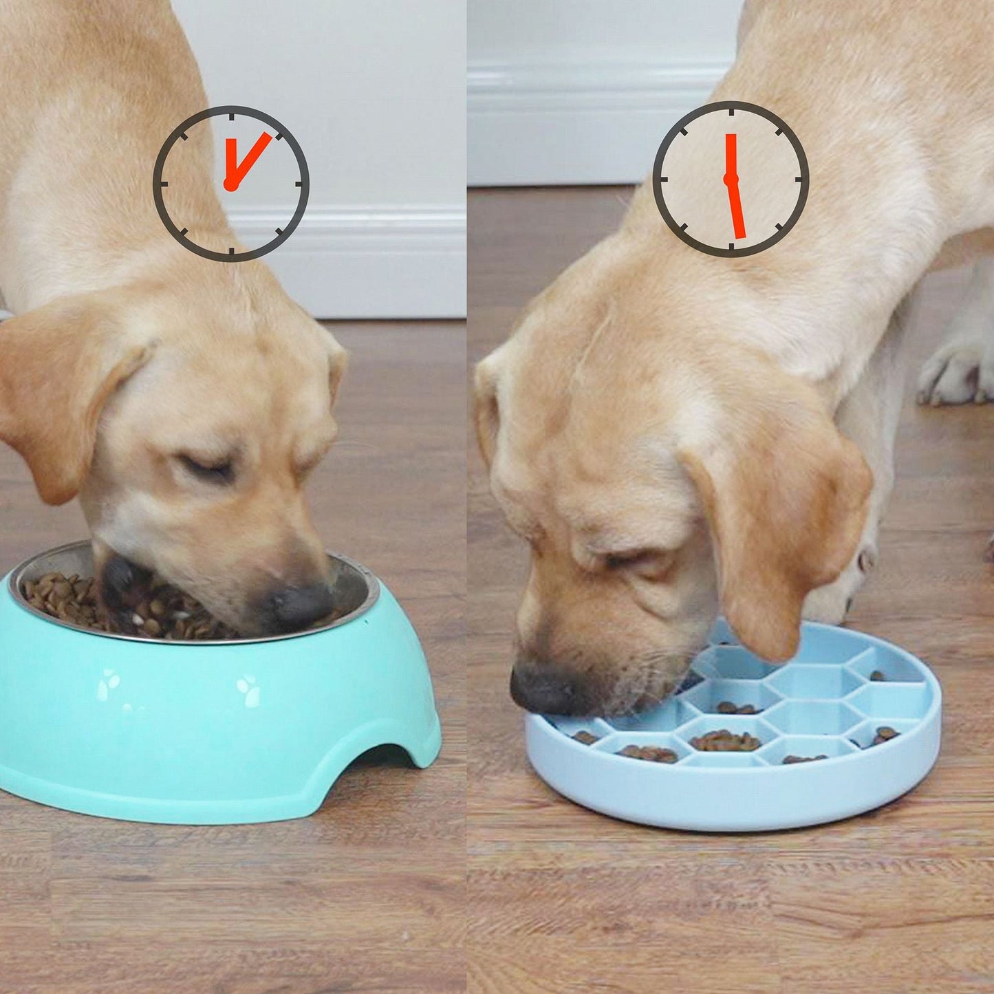 Silica Gel Sucker Honeycomb Eating Bowl