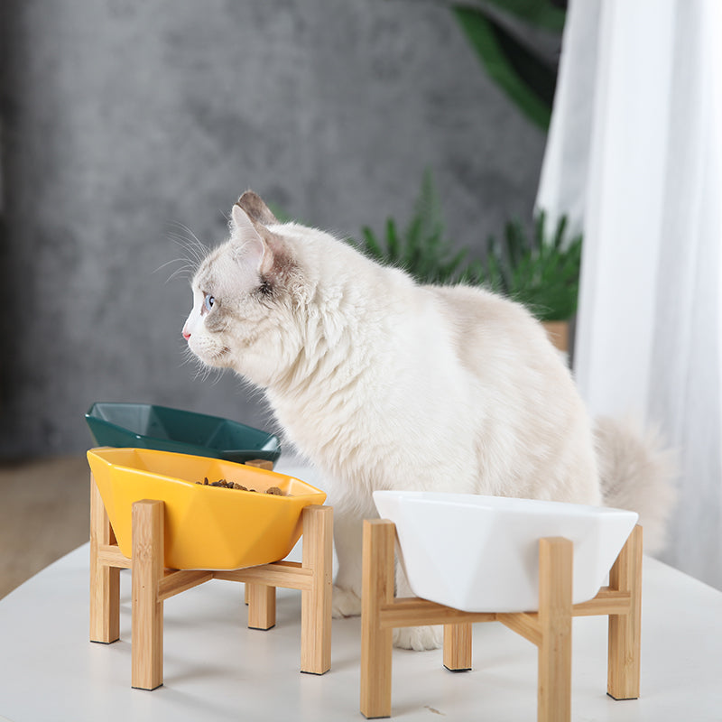 Ceramic high-footed cat food bowl