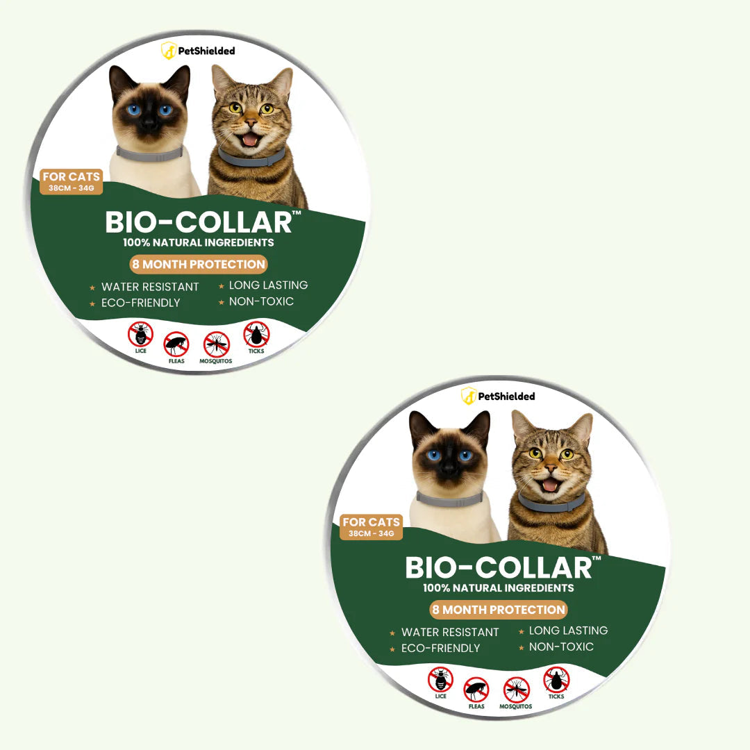 Pet Anti-mosquito Collar Cat Dog Adjustable Insect Repellent Collar Pet Supplies