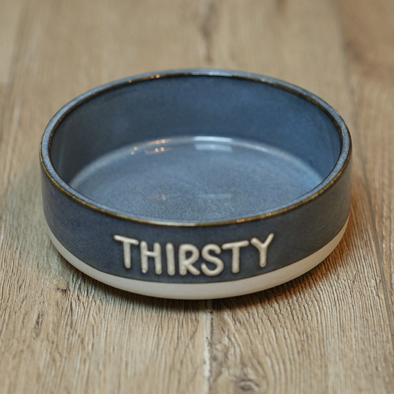 Making Old Pet Ceramic Bowls