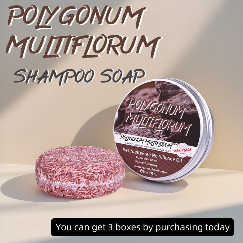 Polygonum Multiflorum Shampoo Soa