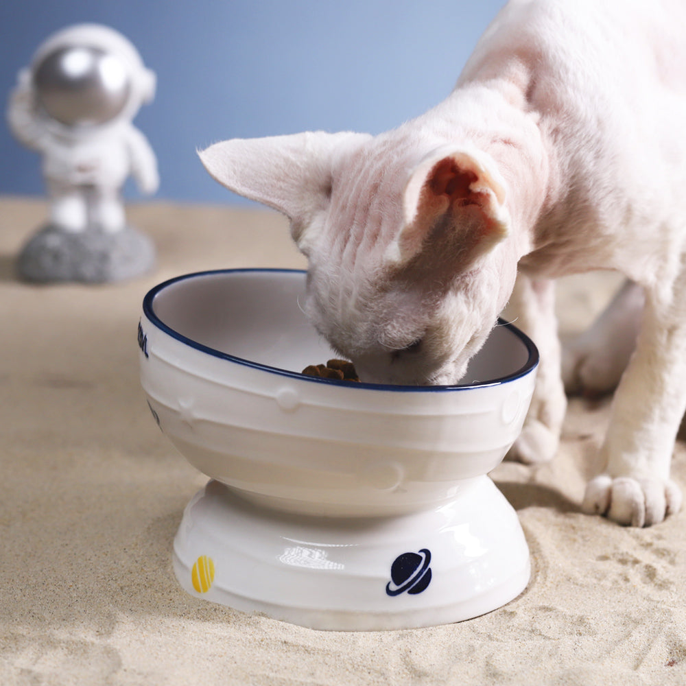 Ceramic Slanted Tall Cat Food Bowl