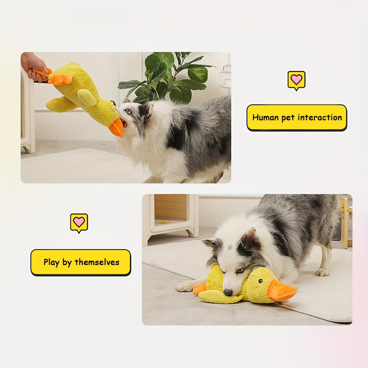 Best Pet Supplies Interactive Squeaky Dog Toy - Crinkle Duck, Yellow  Stuffing-Free Or Stuffed Body, Soft, Squeaks & Crinkles, No Mess, Perfect For Moderate Chewers, Toss And Fetch Play