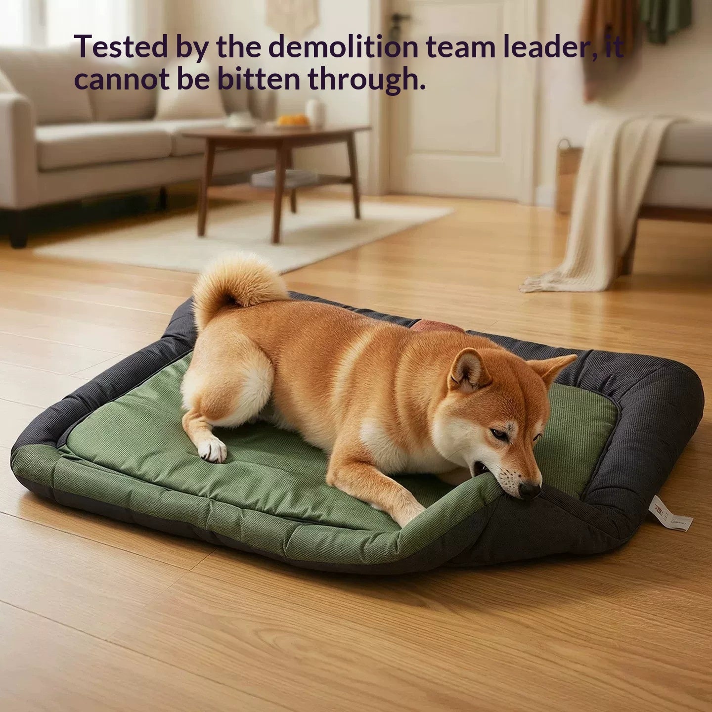 Army Green Pet Bed