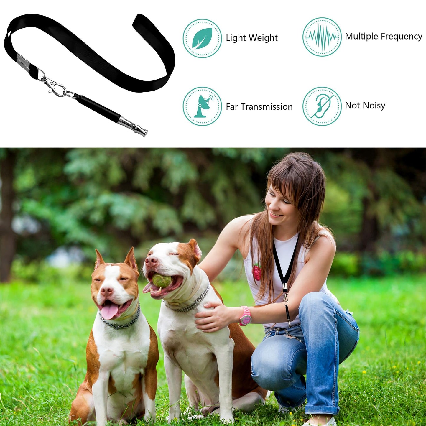 2 Pack Dog Whistle, Dog Whistle To Stop Barking Neighbors Dog, Adjustable Ultrasonic Silent Dog Whistle, Professional Recall Dog Training Whistles, With Lanyard