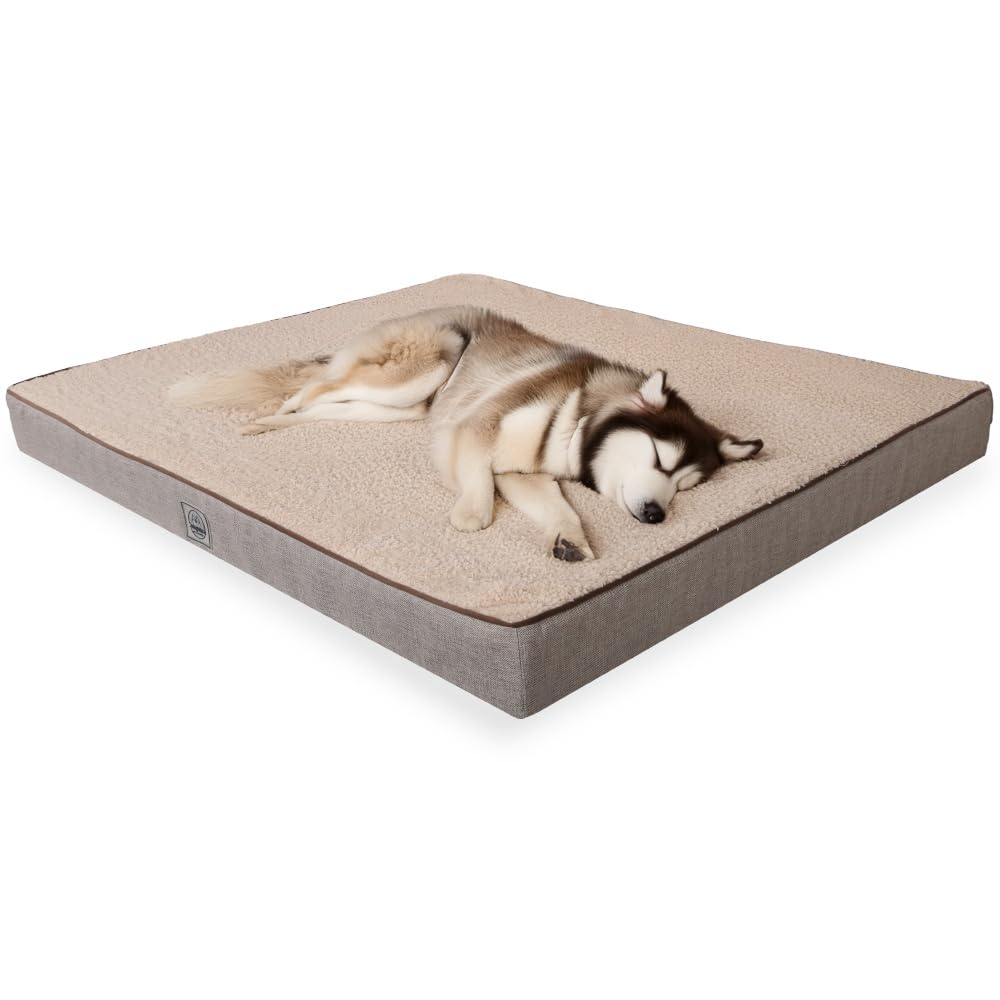 Orthopedic Dog Bed for Medium Dogs- Waterproof Ultra Soft Foam Pet Bed Mat Removable Washable Cover and Nonskid Bottom Beige