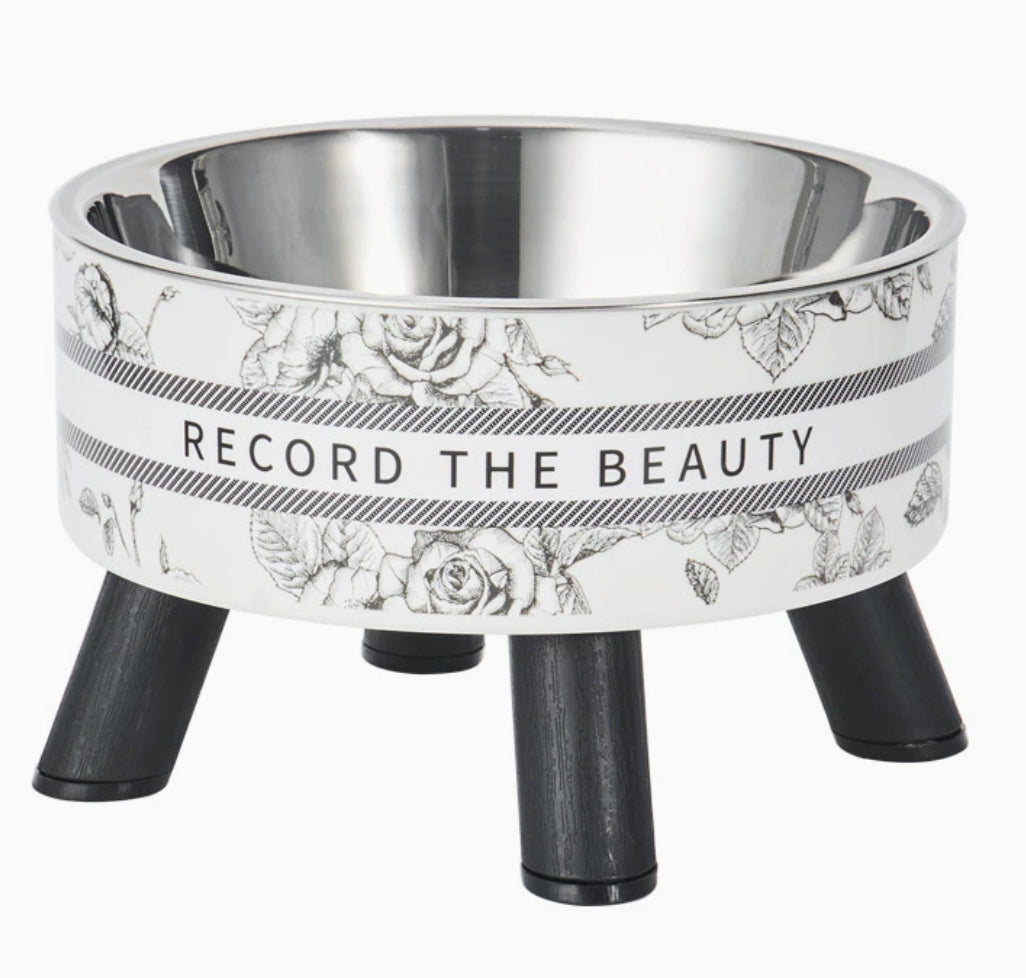 Retro Cat Elevated Bowl Stainless Steel Cat Water Bowl