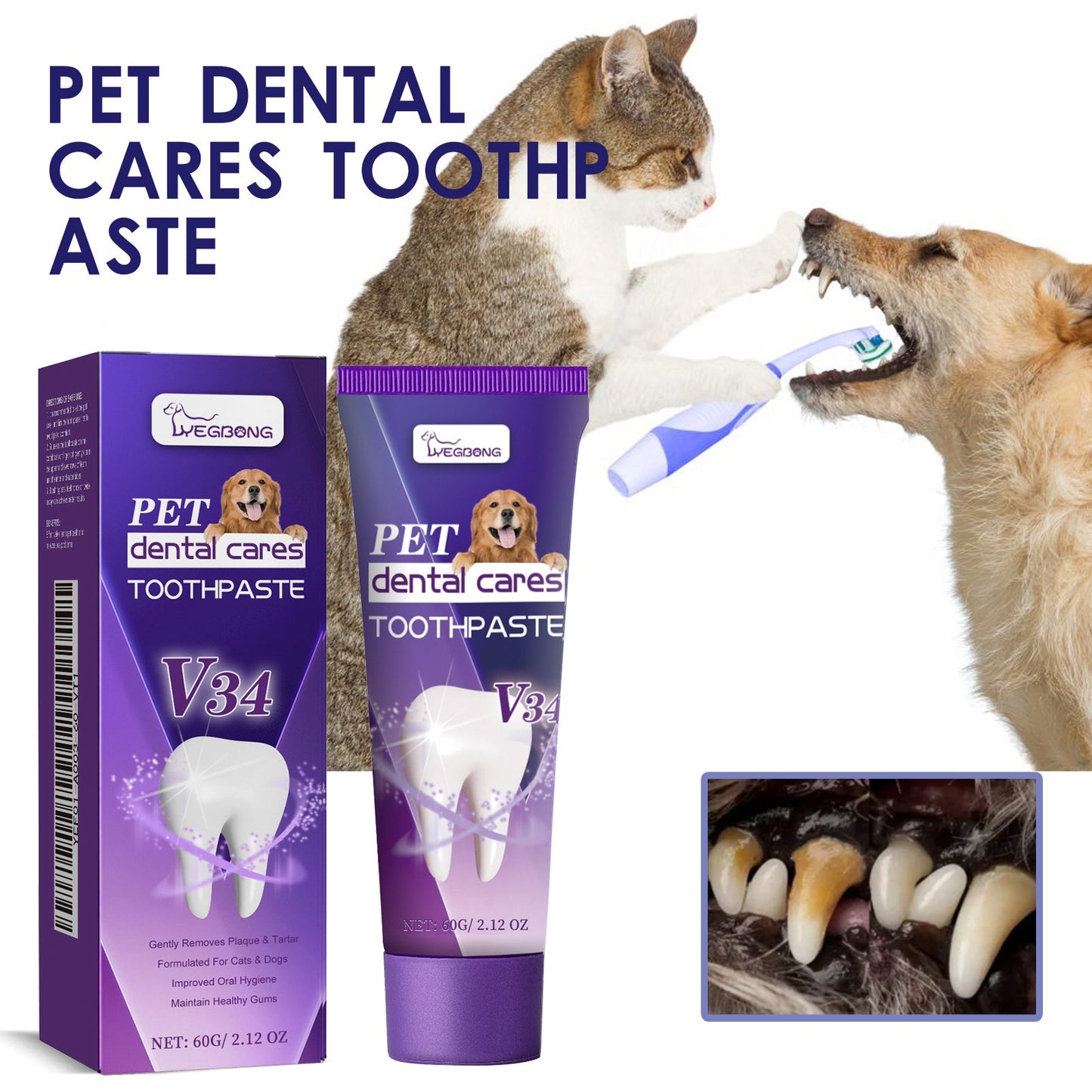 Pet V34 Toothpaste 60g  1box