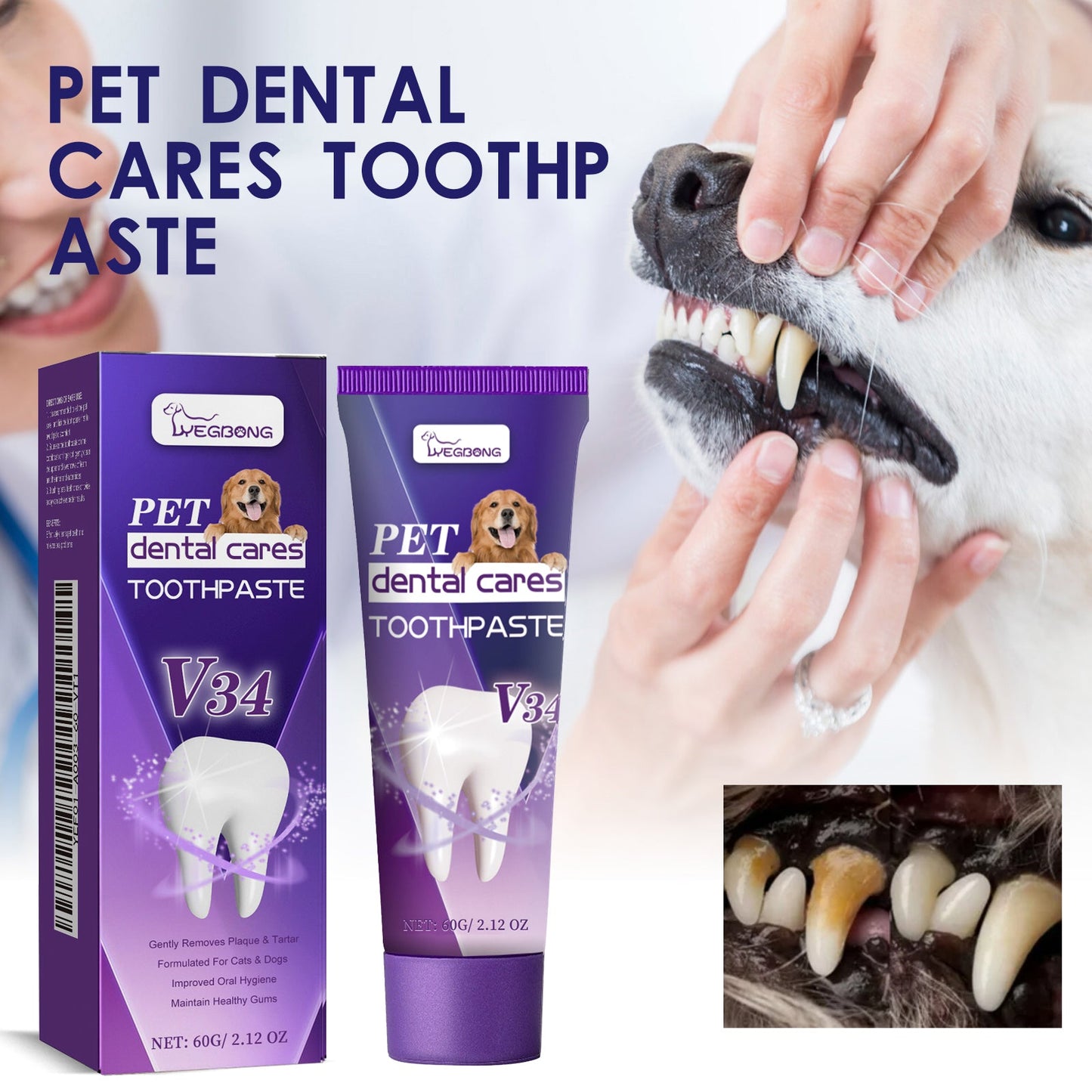 Pet V34 Toothpaste 60g  1box