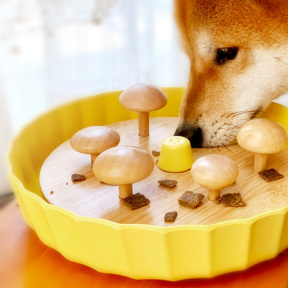 Anti-Choke Dog Cat Sniffing Pad Toy Pet Bowl