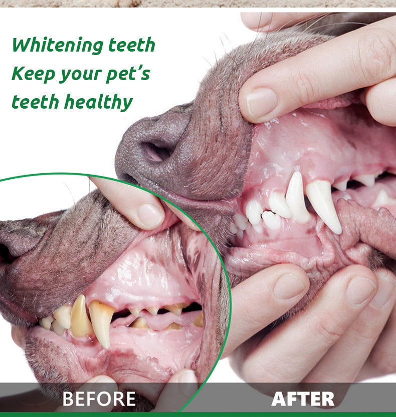 Teeth Cleaning Powder Oral Cleaning Smelly Dog Edible Teeth Cleaning Stone Tooth Cleaning Powder