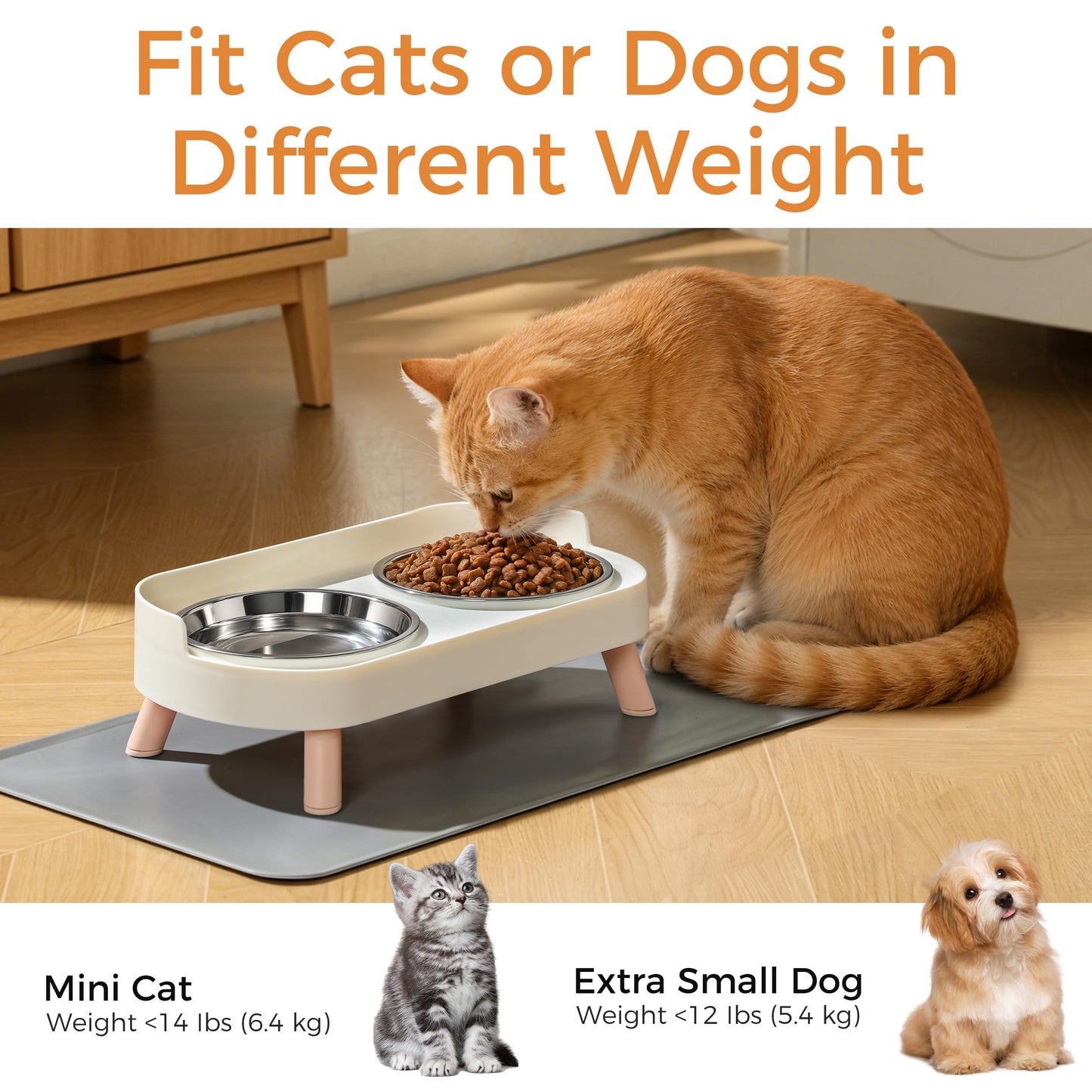 Elevated Cat Bowls Set - Raised Cat Food And Water Bowl Set With Non Slip Stand - Pet Feeding Station With 2 Stainless Steel Bowls