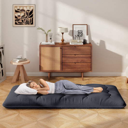 $69-Twin Size Multifunctional Futon Mattress