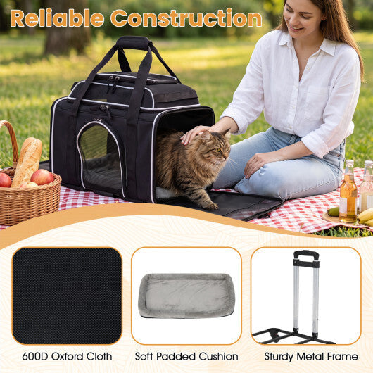Foldable Pet Carrier with Wheels Airline Approved Rolling Cat and Dog Carrier-Black