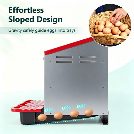 3-Compartment Roll Away Metal Chicken Nesting Box for Hens-Green