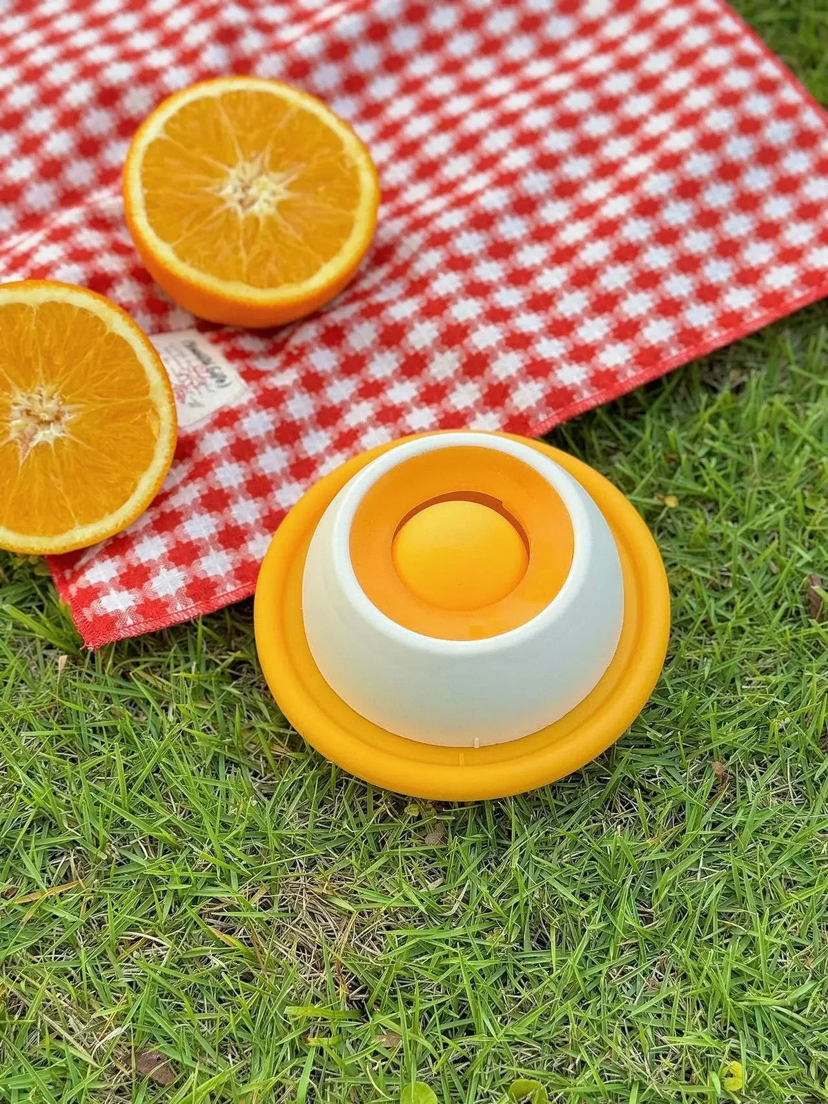 2-in-1 Slow Feeder Lick Mat Pet Puzzle Toy for Dog Cat