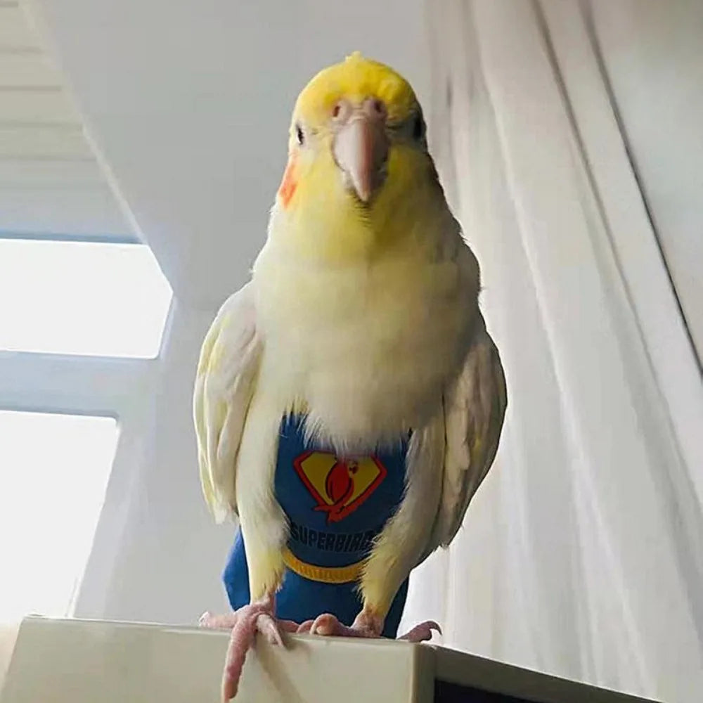 Soft For Parakeet Cockatiel Pigeons Adjustable Leakproof Cloth Parrot Diaper Birds Clothes Birds Flight Suit Parrot Urine Pants