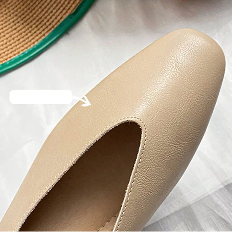 S8d34f408a0ea4f50b27ebe56b902b60bO
