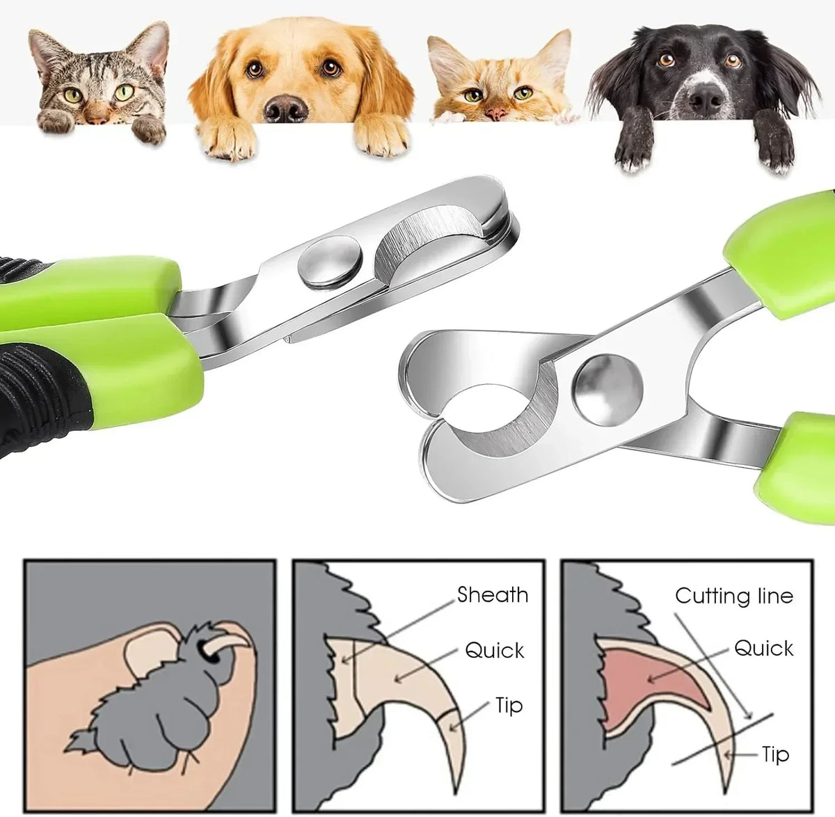 Hot Sale Cat Nail Toe Claw Clippers Trimmer Grooming Tools Animals Pet Supplies Stainless Steel Dog Nail Clipper Scissors