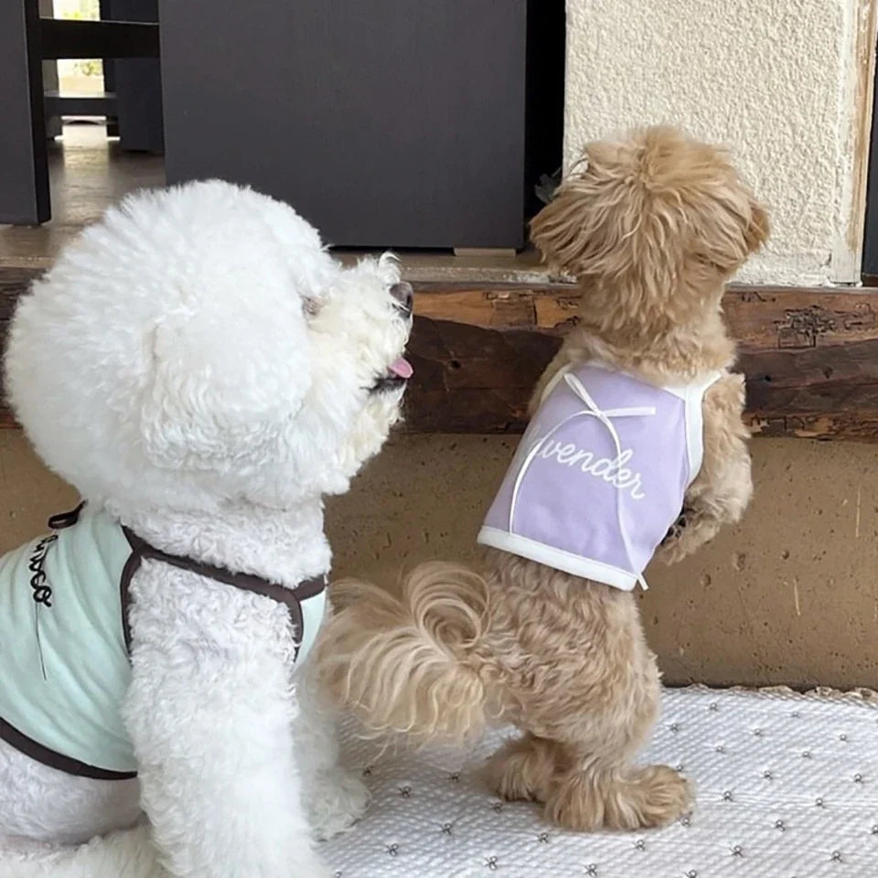 Summer Letter Printed Puppy Sling Breathable Teddy Vest Small Dog Bow T-shirt Casual Dog Clothes Pet Supplies