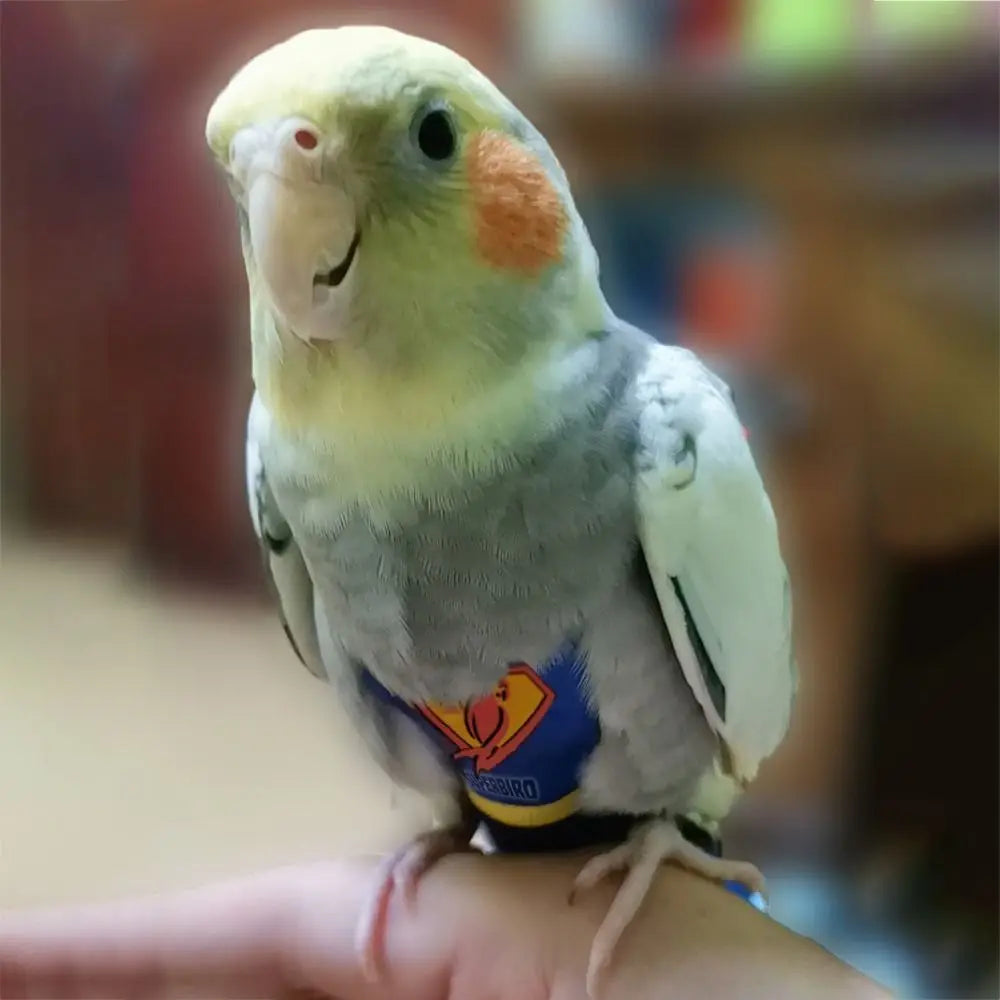 Soft For Parakeet Cockatiel Pigeons Adjustable Leakproof Cloth Parrot Diaper Birds Clothes Birds Flight Suit Parrot Urine Pants