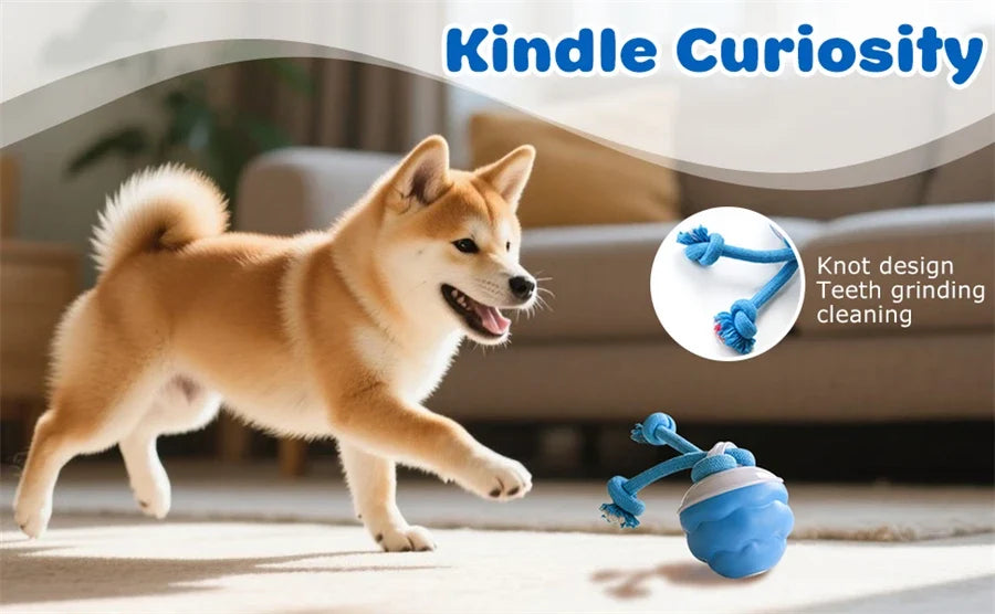 Intelligent Dog Toy Ball Electronic Interactive Cat Toy Usb Automatic Moving Bouncing Ball For Large Medium Dog Holiday Pet Gift