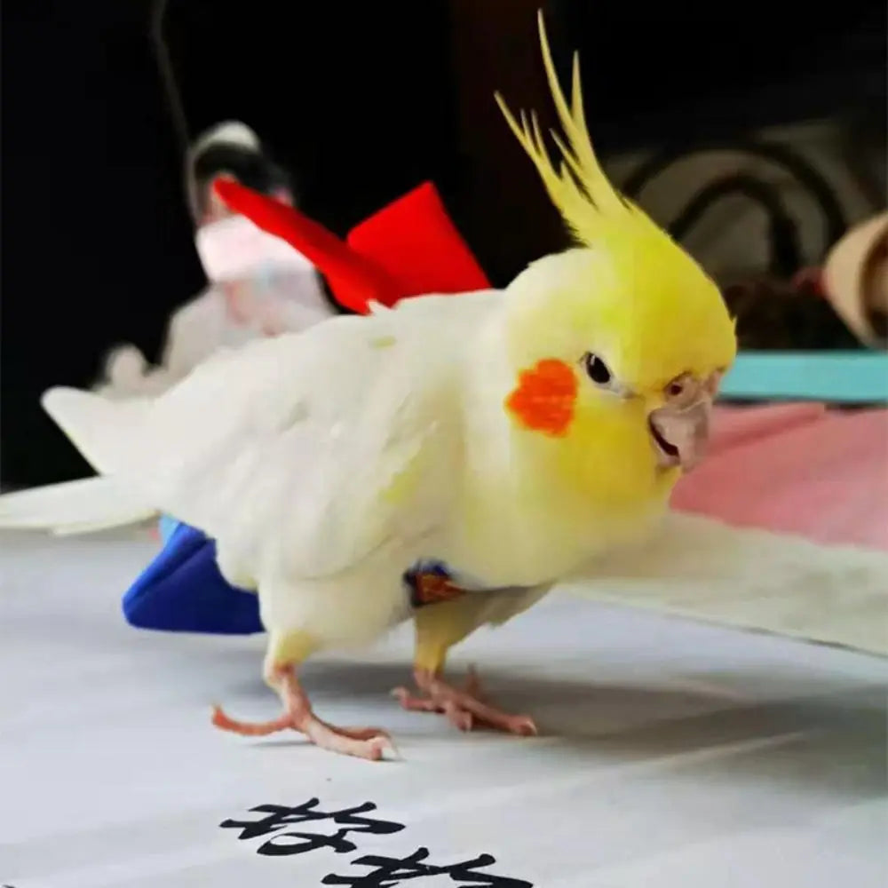 Soft For Parakeet Cockatiel Pigeons Adjustable Leakproof Cloth Parrot Diaper Birds Clothes Birds Flight Suit Parrot Urine Pants