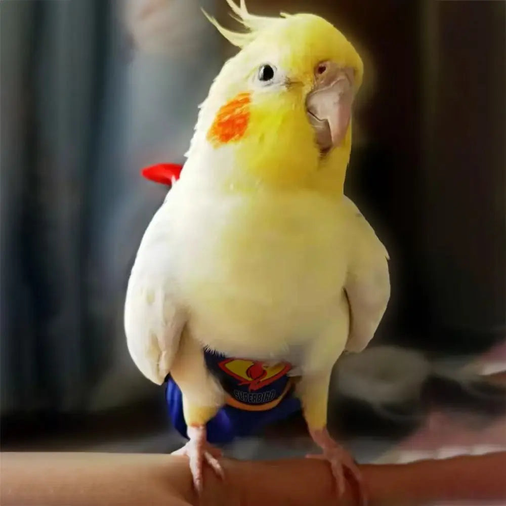 Soft For Parakeet Cockatiel Pigeons Adjustable Leakproof Cloth Parrot Diaper Birds Clothes Birds Flight Suit Parrot Urine Pants