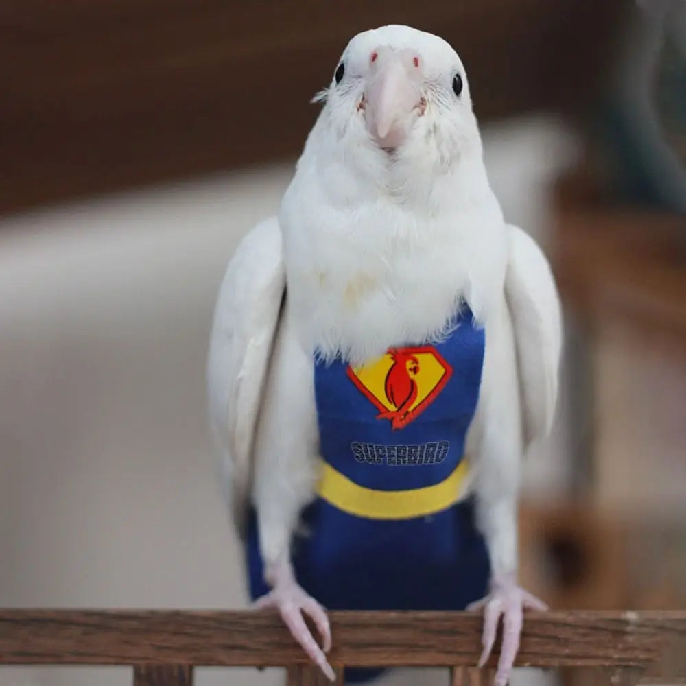 Soft For Parakeet Cockatiel Pigeons Adjustable Leakproof Cloth Parrot Diaper Birds Clothes Birds Flight Suit Parrot Urine Pants