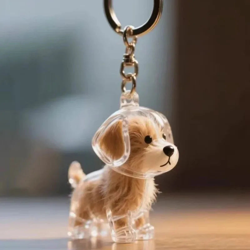 Transparent Dog Hair Storage Pendant Dog Hair Collector Keychain Pet Hair Memorial Bottle for Pet Lovers DIY Memorial Keychain