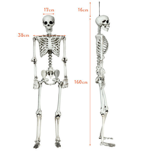 Costway 5.4ft Halloween Christmas Skeleton Life Size Realistic Full Body Hanging with Movable Joints 63 Inches