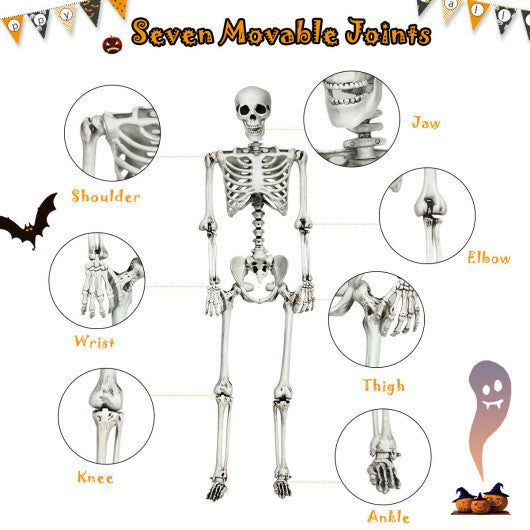 Costway 5.4ft Halloween Christmas Skeleton Life Size Realistic Full Body Hanging with Movable Joints 63 Inches