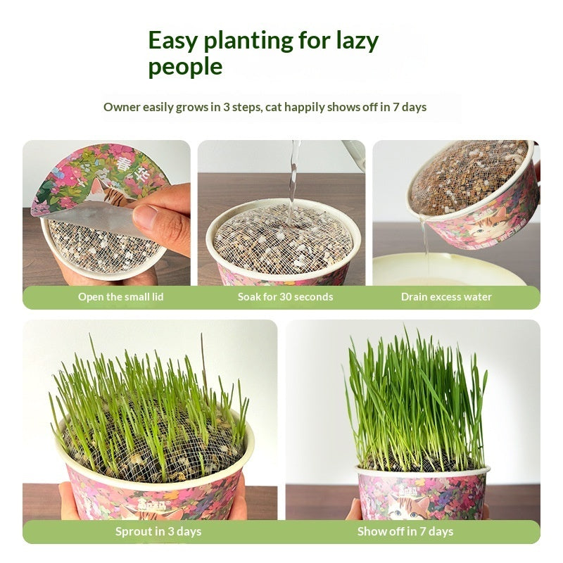 Soil-free Mixed Cat Grass Treats
