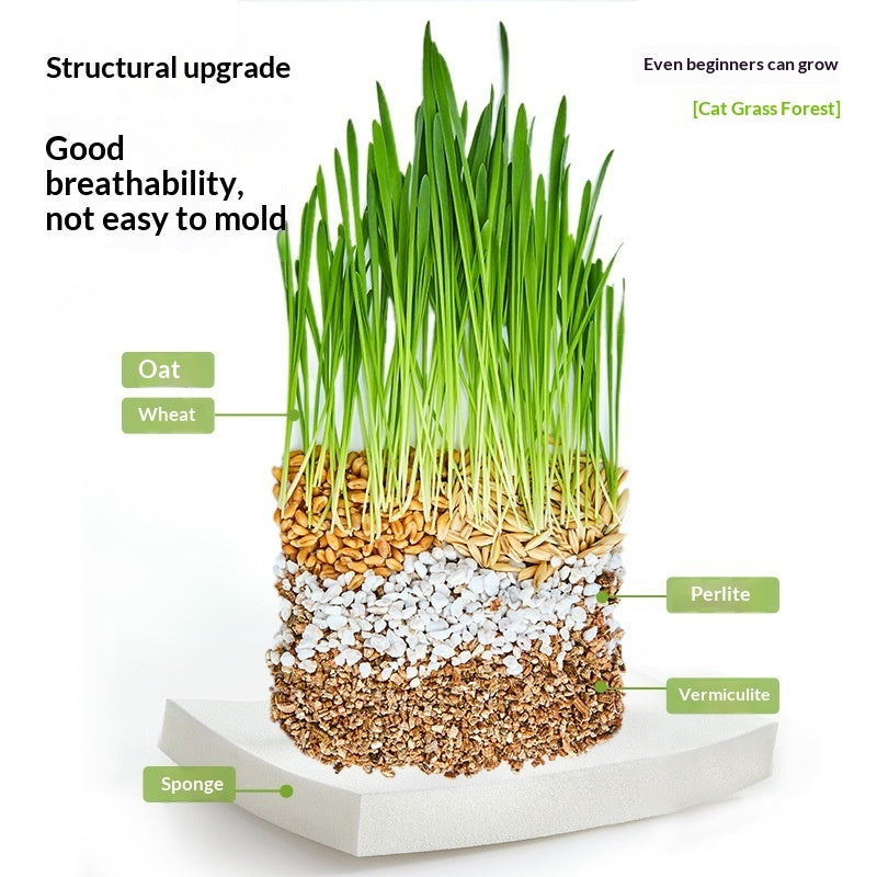 Soil-free Mixed Cat Grass Treats