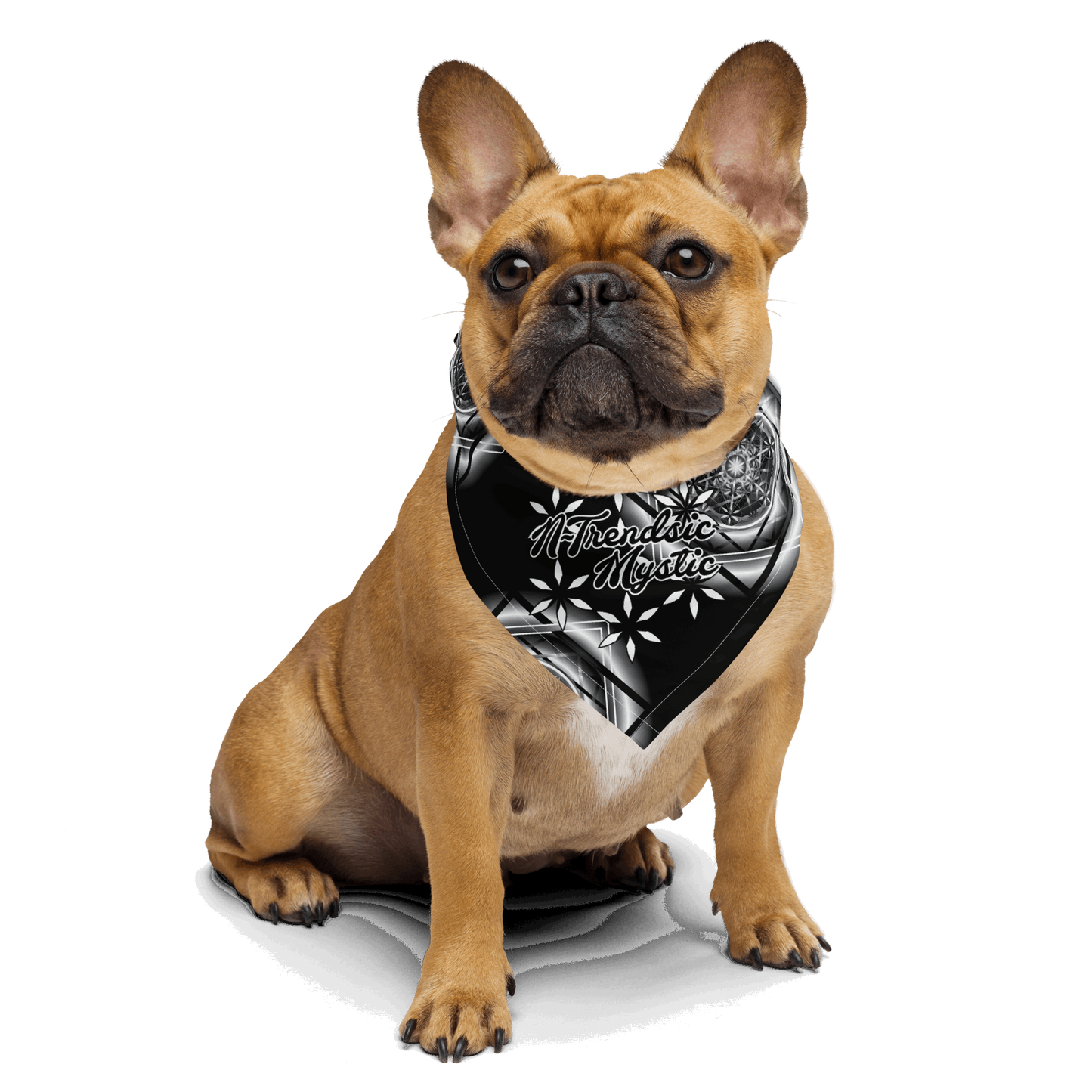 Melchizedek | All-Over Print Bandana (B/W)