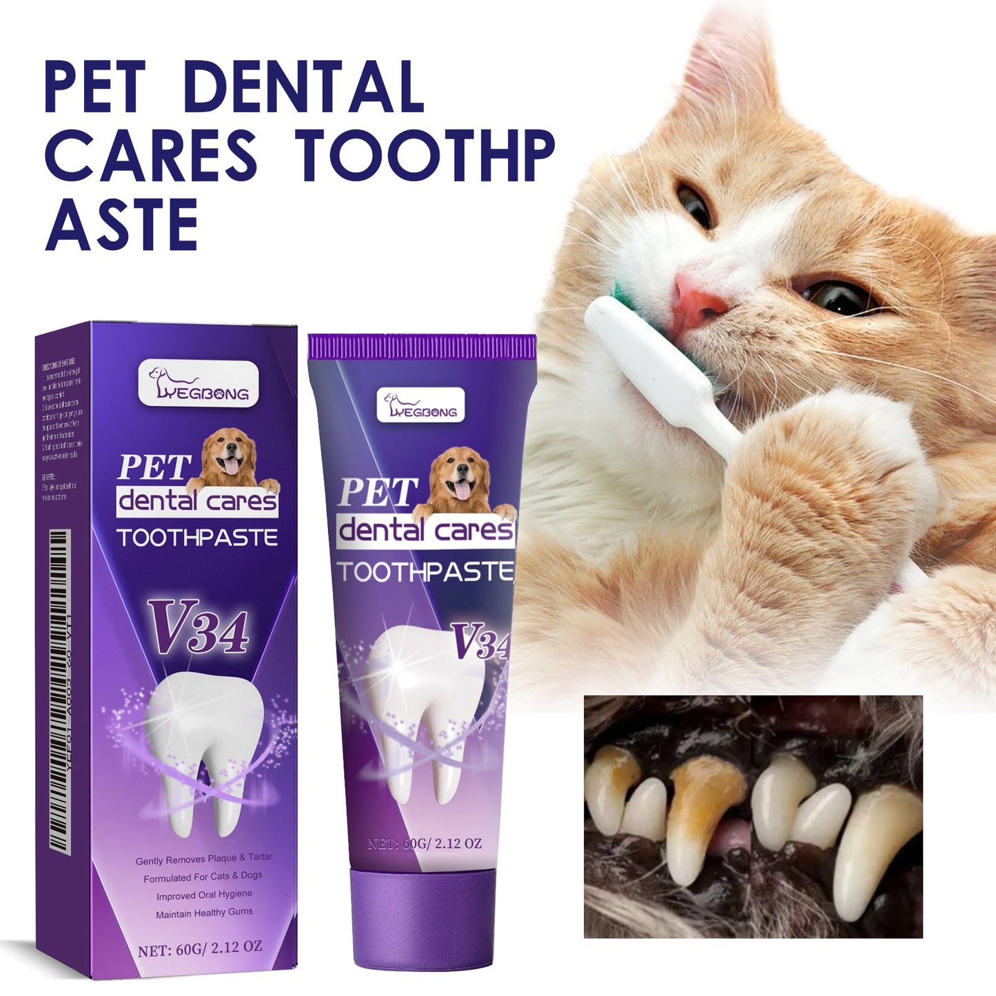 Pet V34 Toothpaste 60g  1box