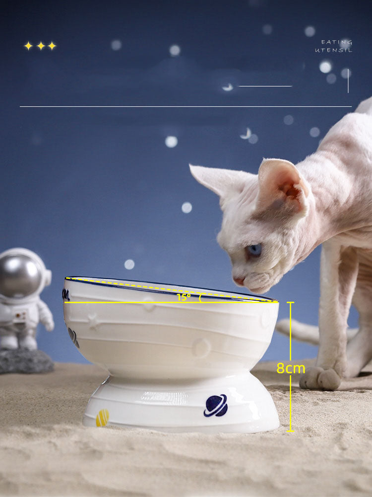 Ceramic Slanted Tall Cat Food Bowl