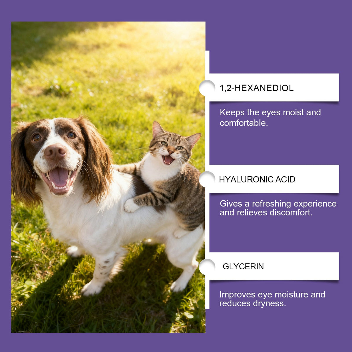 Pet Eye Drops Gently Care For Cats And Dogs' Eye Tear Stains, Tear Marks, And Eye Discharge