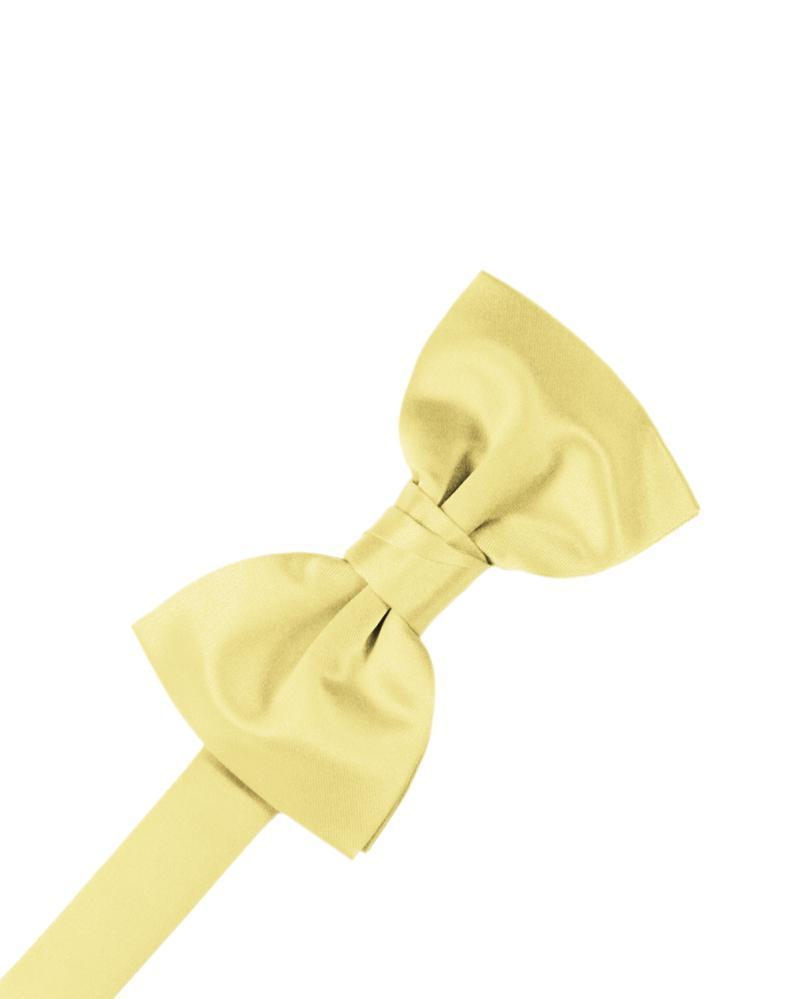Luxury Satin Bow Tie