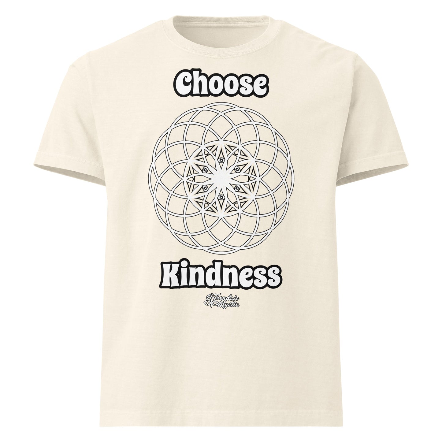 Choose Kindness | Unisex Oversized T-Shirt