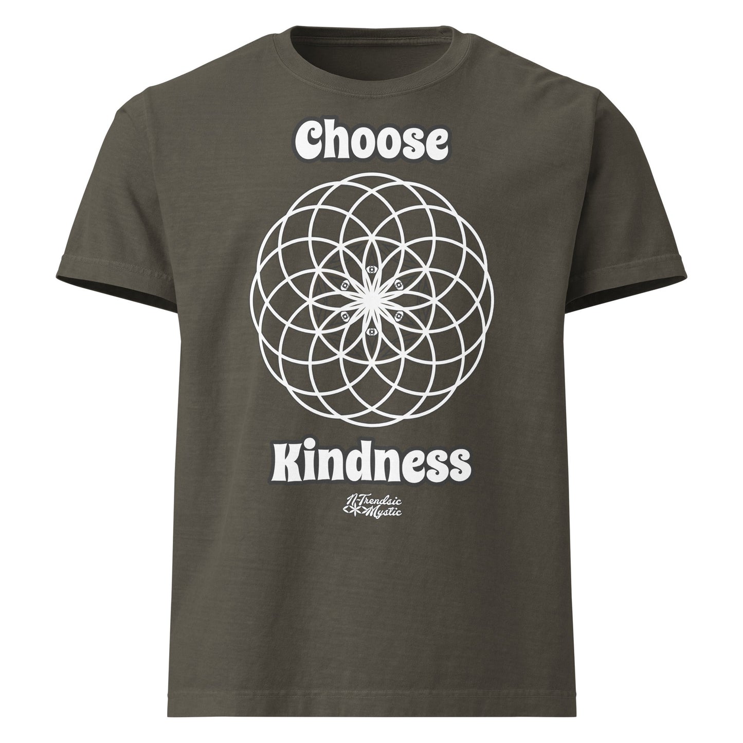 Choose Kindness | Unisex Oversized T-Shirt